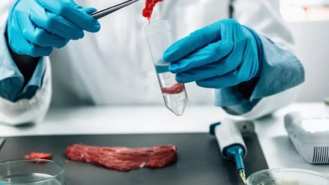 Badan Gizi Nasional, Sediakan Rapid Test Sebelum MBG Dikirim