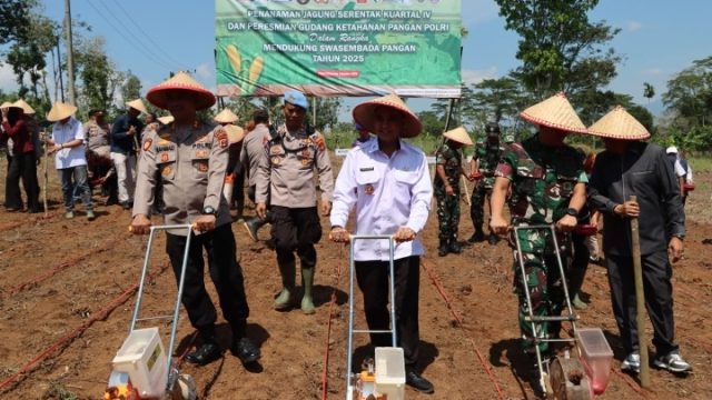 Polres Tanggamus Tanam Jagung Serentak Kuartal IV, Dukung Swasembada Pangan 2025