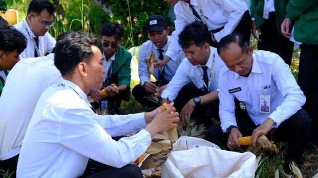 Wujudkan Ketahanan Pangan, Lapas Narkotika Bandar Lampung Panen Raya Jagung