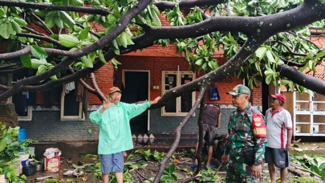 Babinsa Pelda Enang Kamaludin Gerak Cepat Atasi Pohon Tumbang Yang Menutupi Badan Jalan