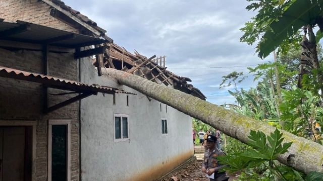 Polsek Pulau Panggung Identifikasi Rumah Tertimpa Pohon Kelapa