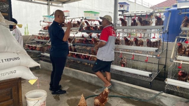 Produktif dan Mandiri, Rutan Bandar Lampung Perkuat Ketahanan Pangan Lewat Budidaya 250 Ayam Petelur