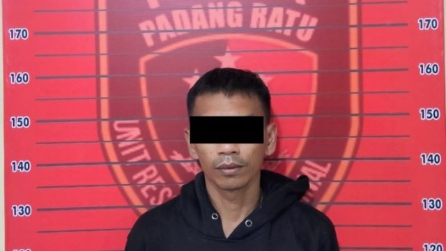 Ayah Tiri Cabuli Anak Hingga Hamil, Tekab 308 Presisi Polsek Padang Ratu Bergerak Cepat Amankan Pelaku