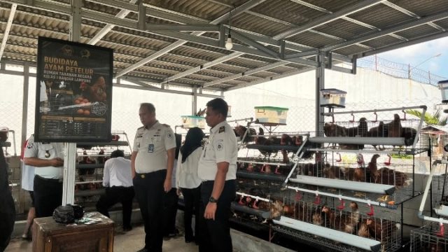 Rutan Kelas I Bandar Lampung Laksanakan Vaksinasi 250 Ayam Petelur Untuk Jaga Kesehatan Ternak