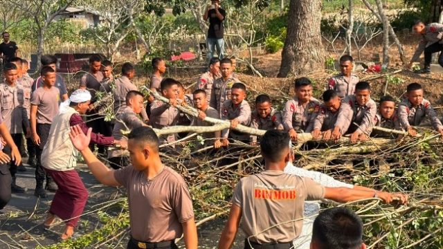 Brimob Lampung Bantu Evakuasi Pohon Tumbang