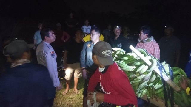 Gerak Cepat SPKT, Pamapta dan Reskrim Polres Tanggamus Amankan Terduga Pencuri 11 Tandan Pisang di Kota Agung Timur