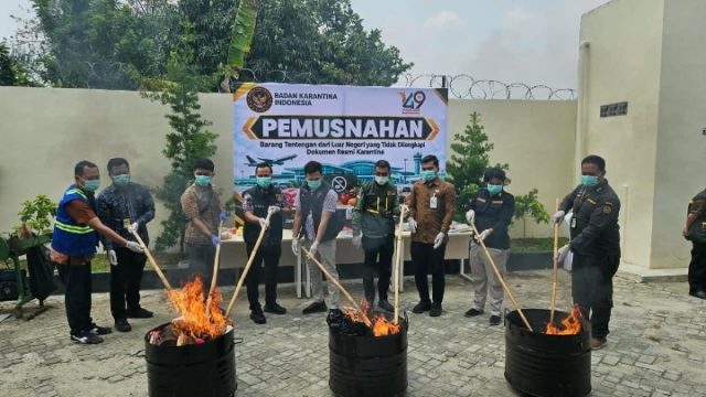 Bakso hingga Benih Dari Malaysia Dimusnahkan di Lampung, Barantin Ingatkan Risiko Tak Kasatmata