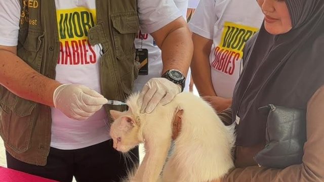 Karantina Lampung dan PDHI Gelar Vaksinasi Rabies Jemput Bola di Desa Legundi