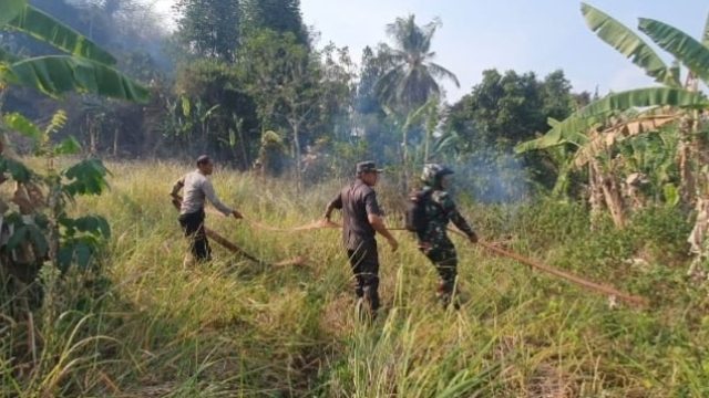 Babinsa Koramil 410-03/TBU Gerak Cepat Atasi Kebakaran Lahan Kosong