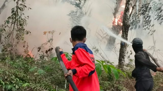 Dua Titik Karhutla di Tulang Bawang dan Lamteng Terkendali, BPBD Sampaikan Pesan Gubernur: Tingkatkan Kewaspadaan Karhutla