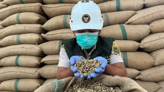 Ekspor Kopi Indonesia Ke Italia Naik 91 Persen, Barantin Dorong Roasted Coffee Lampung Tembus Pasar Global